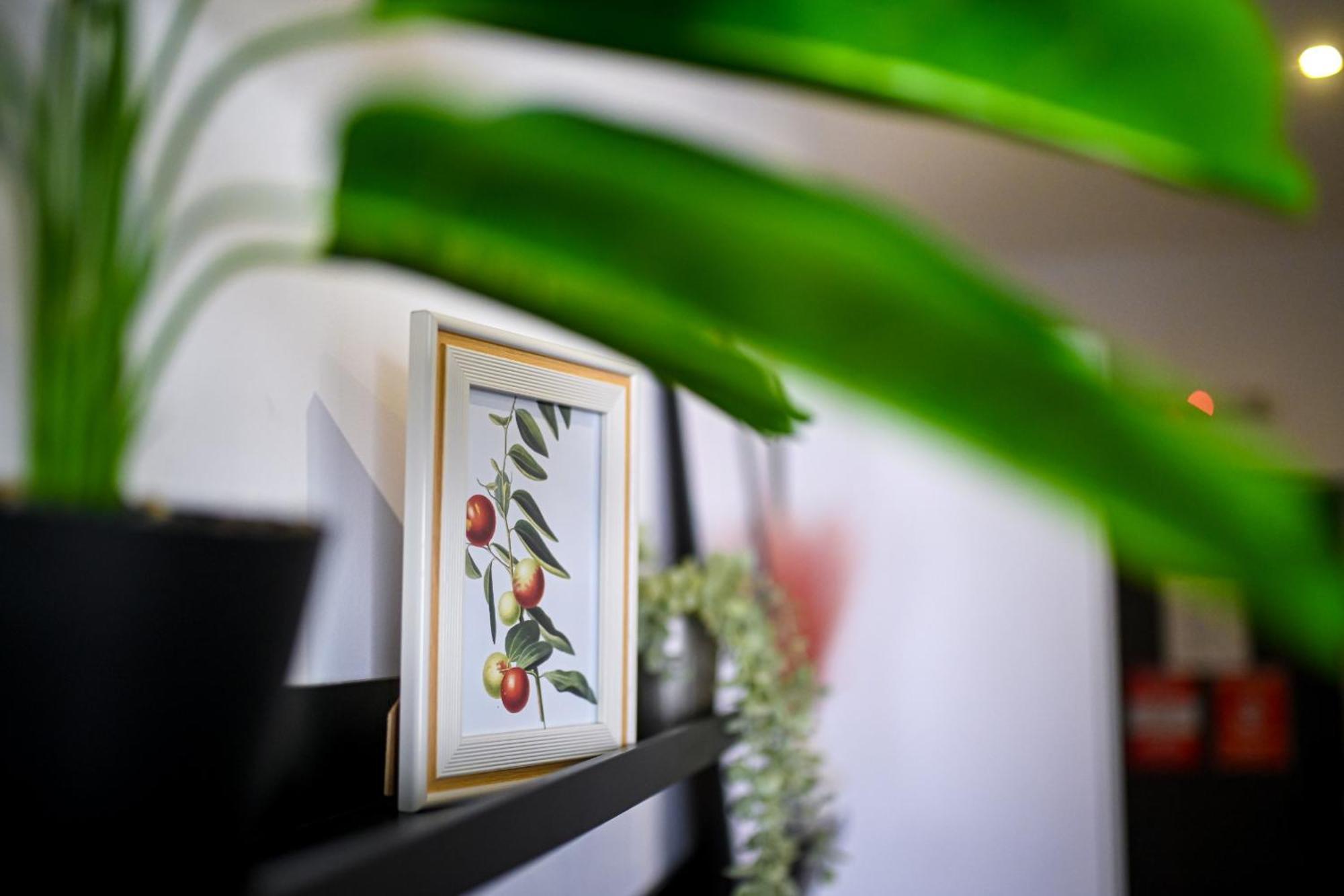 Urban Elegance - Stylish Central Accommodation Boekarest Kamer foto